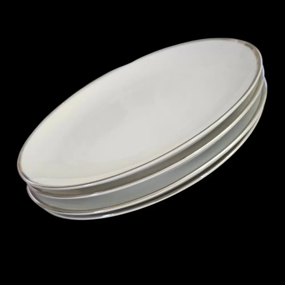 Wentworth Fine China True Love 2616 Japan Salad Plates Set of 4 Platinum Trim